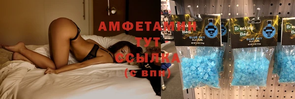 гашиш Богданович