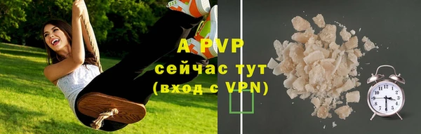 спиды Богородицк