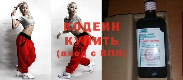 спиды Богородицк