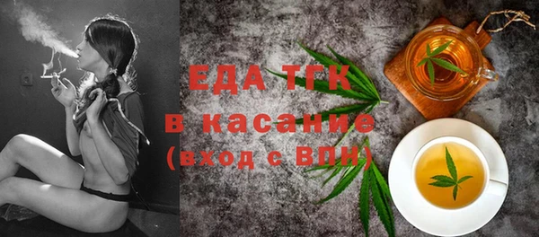 спиды Богородицк