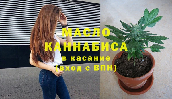 спиды Богородицк